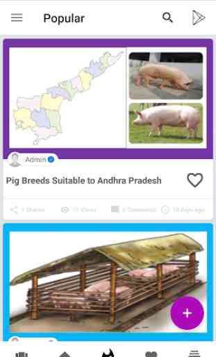 Pig Master - A Guide App for Pig Farming 3