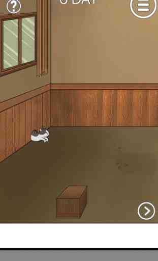 Find the Cat - Escape challenge game 1