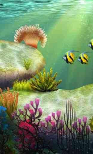 Mon poisson 3D (aquarium 3D) 4