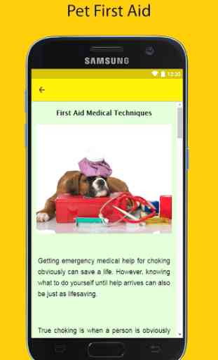 Pet First Aid - Medical Techniques 4