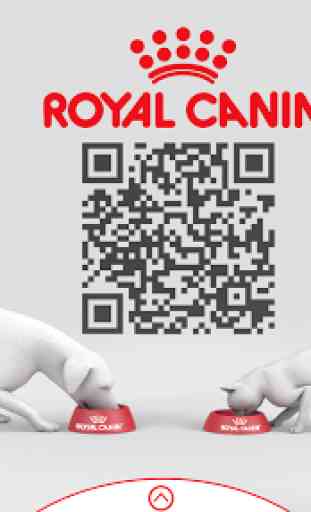 Royal Canin AR 4