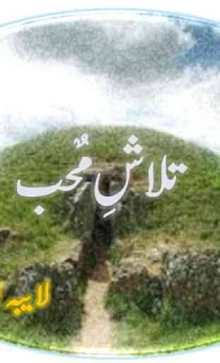 Talash E Muhab Novel by Laiba Arshad 2