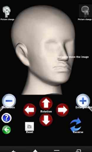 X-ray 3D images -head volume- 3