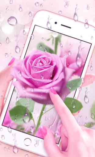 Pink Rose & Dew Live Wallpaper 1