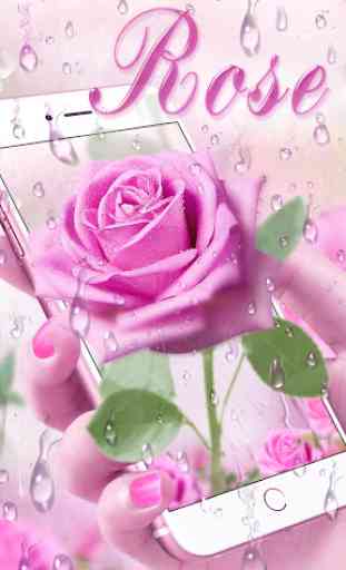 Pink Rose & Dew Live Wallpaper 2