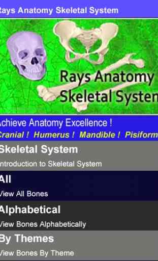 Rays Anatomy Skeletal System 1