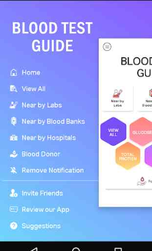 Blood Test Guide 4