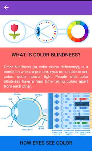 Color Blindness Checker 2
