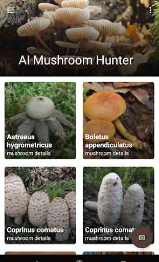 AI Mushroom Hunter & Identifier 1