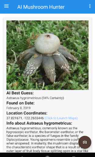 AI Mushroom Hunter & Identifier 2
