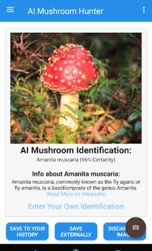 AI Mushroom Hunter & Identifier 4