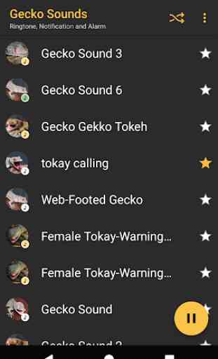 Appp.io - Sons Gecko 2