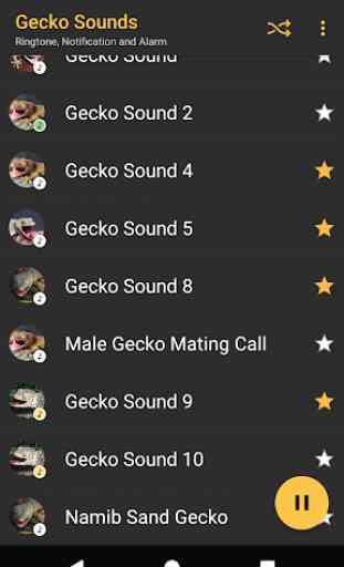 Appp.io - Sons Gecko 3