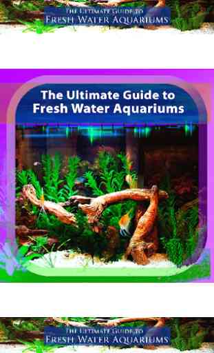 Guide to Freshwater Aquariums 1