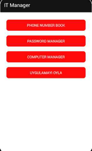 IT Manager 1