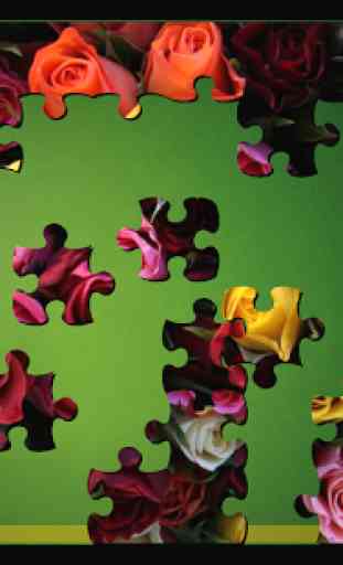Jigsaw Puzzle Collection HD 2