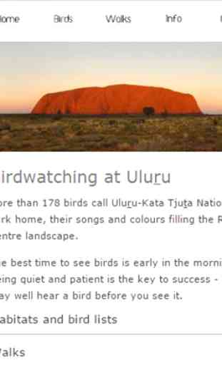 Uluru Birds 2