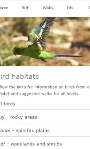 Uluru Birds 3