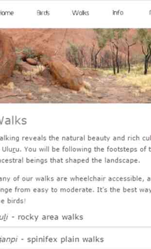 Uluru Birds 4