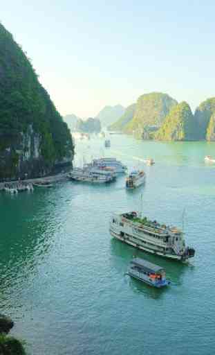 Vietnam Travel Guide 1