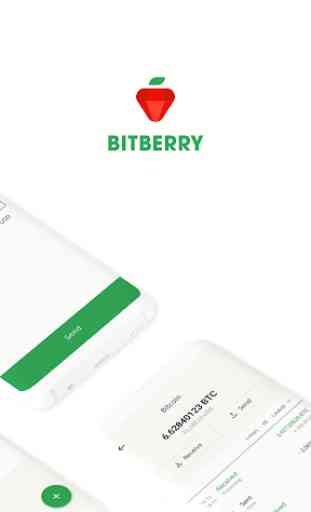 Bitberry 2