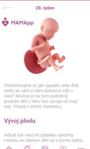 MAMApp CZ - těhotenství po týdnech 2