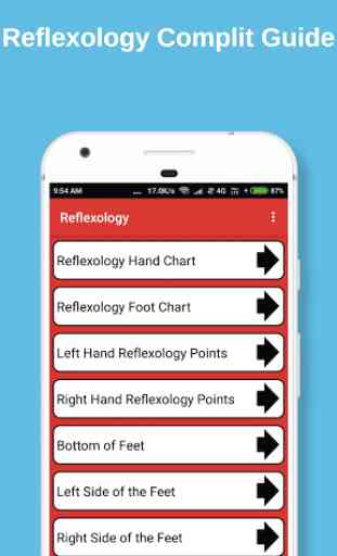 Reflexology Guide 2