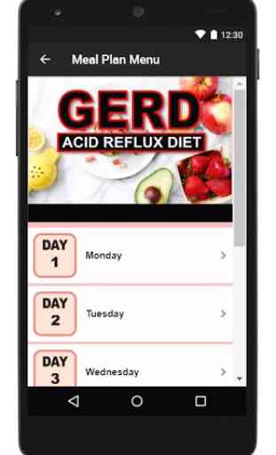 Acid Reflux Diet 4