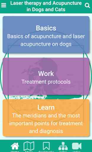 Acupuncture and laser therapy in dogs and cats 1