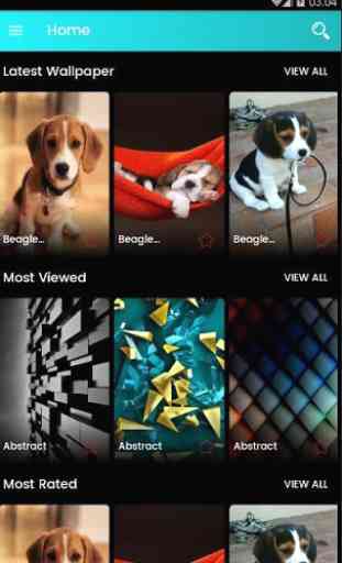 Fond d'écran chiots Beagle 1
