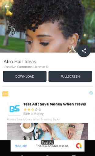 Idées Afro Hair 3