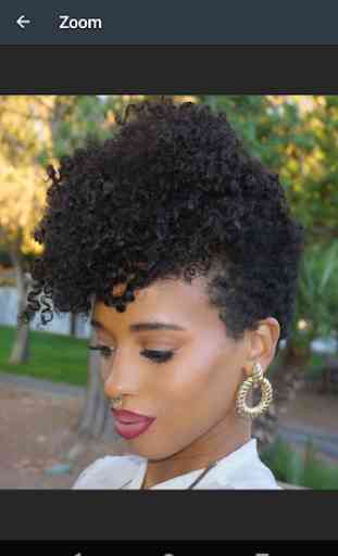 Idées Afro Hair 4