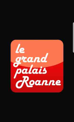 Le grand palais Roanne 1
