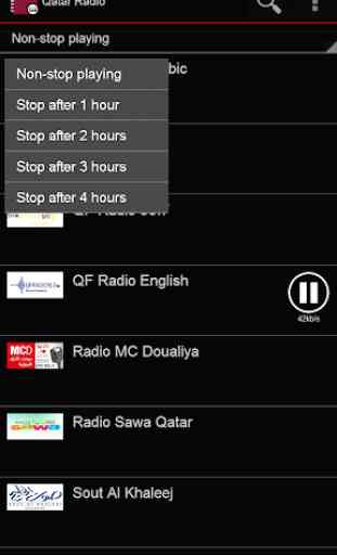 Qatar Radio 4