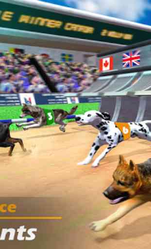 vrais jeux de courses de chiens simulateur d chien 1