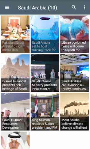 Arab News Lite 2