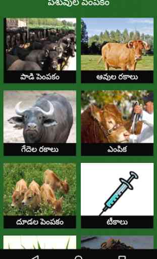 Paadi Parisrama Dairy Farming Telugu 1