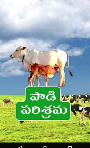 Paadi Parisrama Dairy Farming Telugu 3