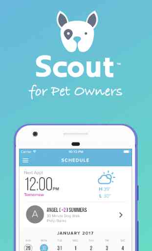 Scout for Pet Owners 1