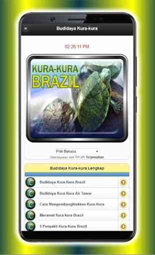 Succès de la culture de la tortue brésilienne 1