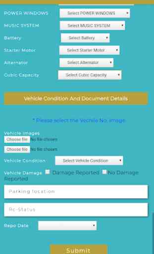Vehicle Inspection 4