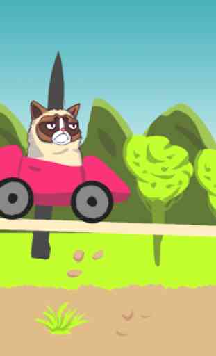 Grumpy Cat Drive 4