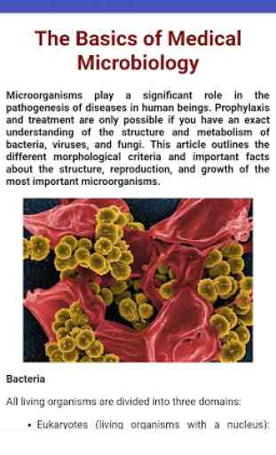 Medical Microbiology 2