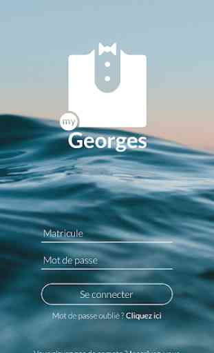 myGeorges 1