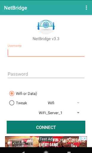 NetBridge VPN 1