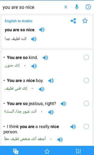 Arabic Translator Offline 4