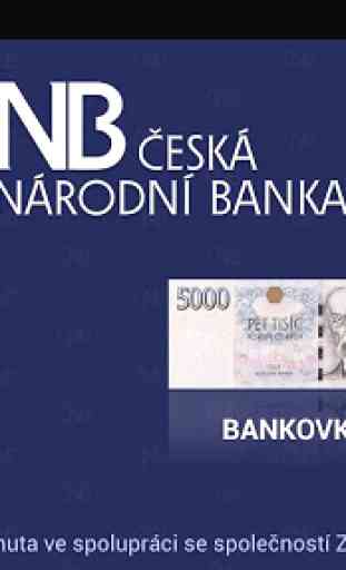 Czech money 1