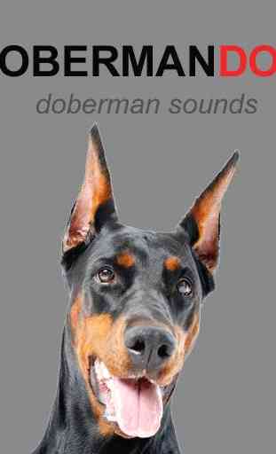 Doberman Dog Sounds and Barks 1