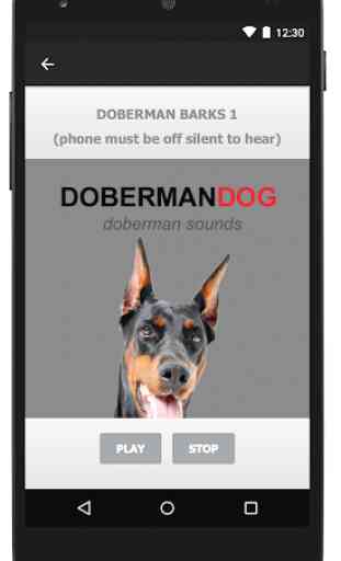 Doberman Dog Sounds and Barks 3