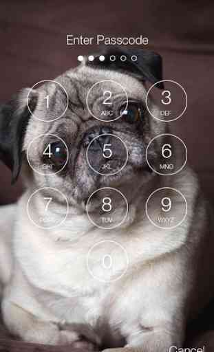 Pug Cute Screen Lock 2